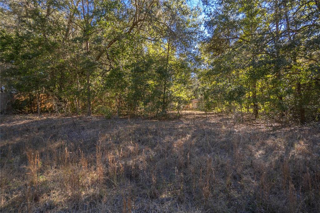 Southwest 109th Place Dunnellon, FL 34432 - Photo 5 of 15 a view of outdoor space and yard