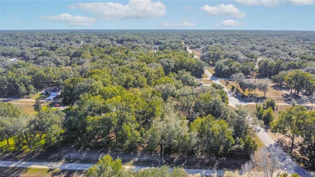 Southwest 109th Place Dunnellon, FL 34432 - Photo 6 of 15 an aerial view of a houses with yard