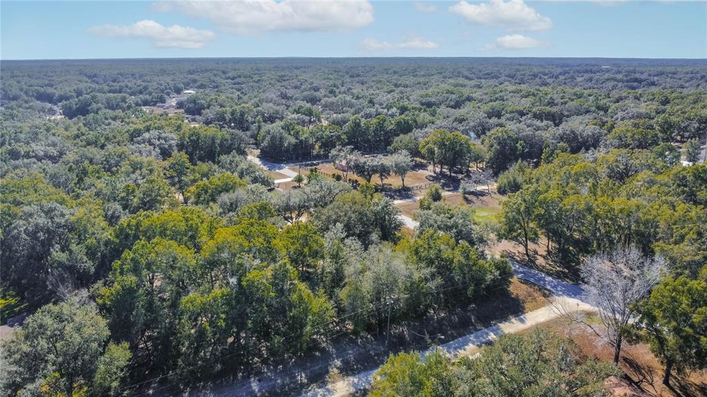 Southwest 109th Place Dunnellon, FL 34432 - Photo 7 of 15 an aerial view of multiple house