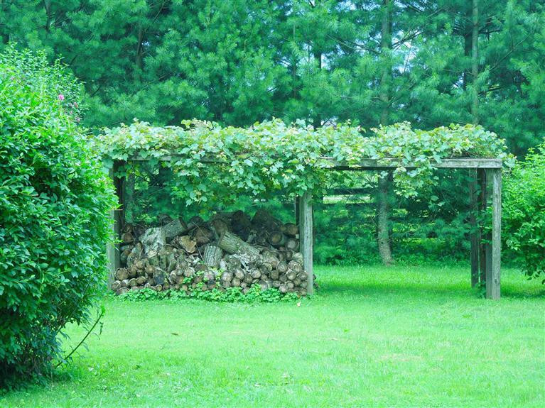 2459 Log Lick Road Winchester, KY 40391 - Photo 23 of 25 Photo 23