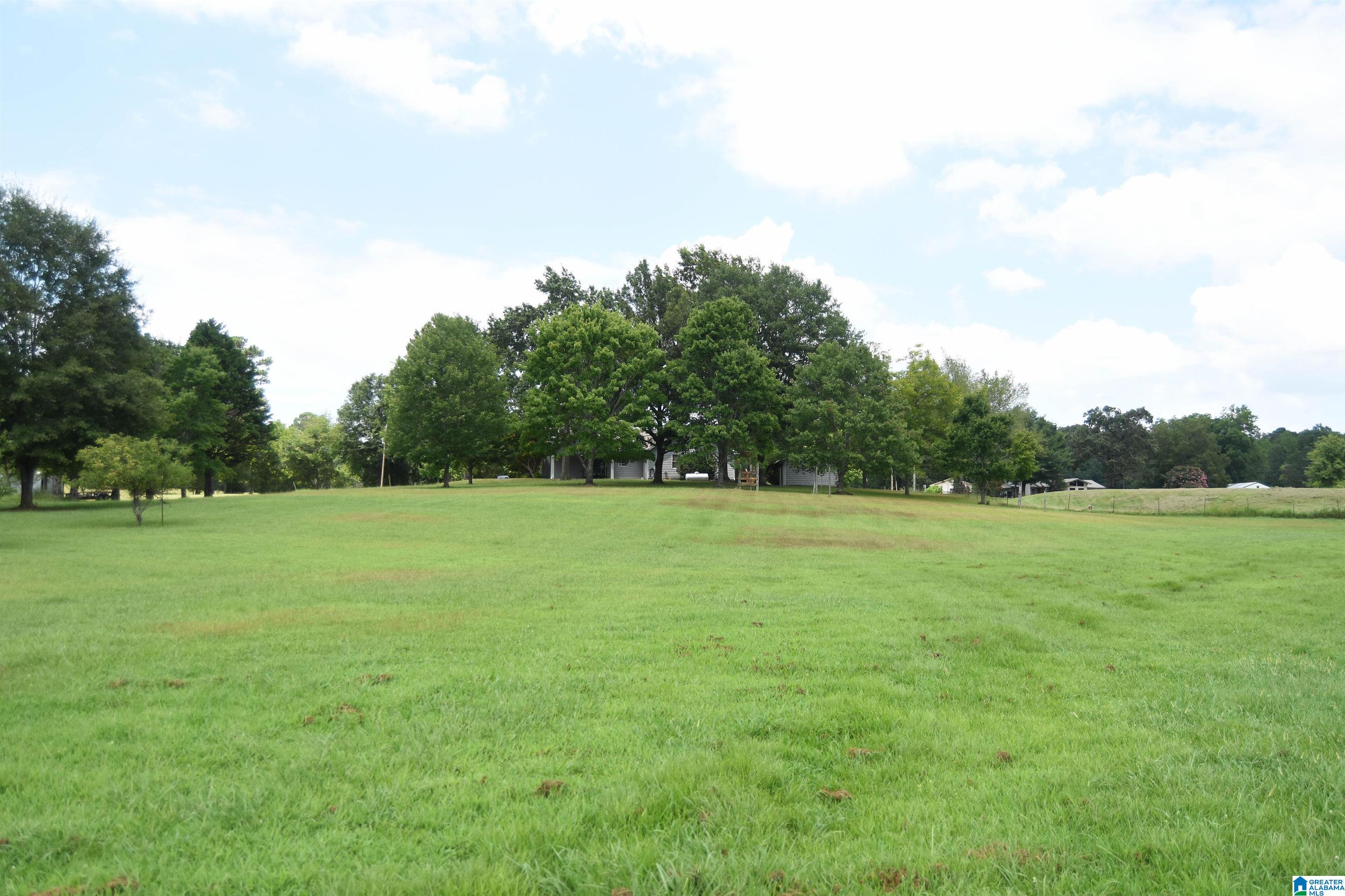 873 Buckelew Road Anniston, AL 36207 - Photo 66 of 91
