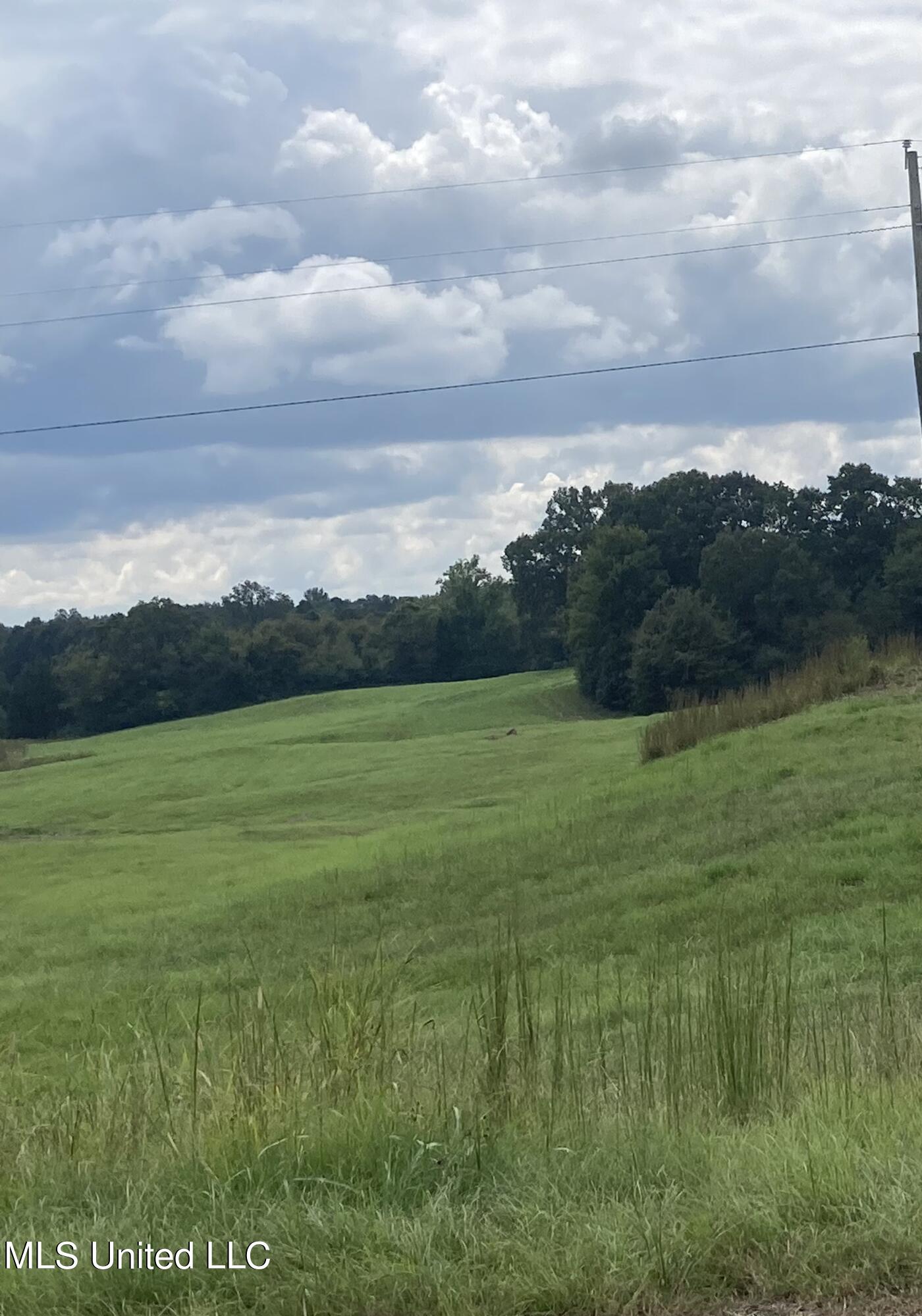 4816 B Peyton Road Coldwater, MS 38618 - Photo 2 of 3 IMG_0519