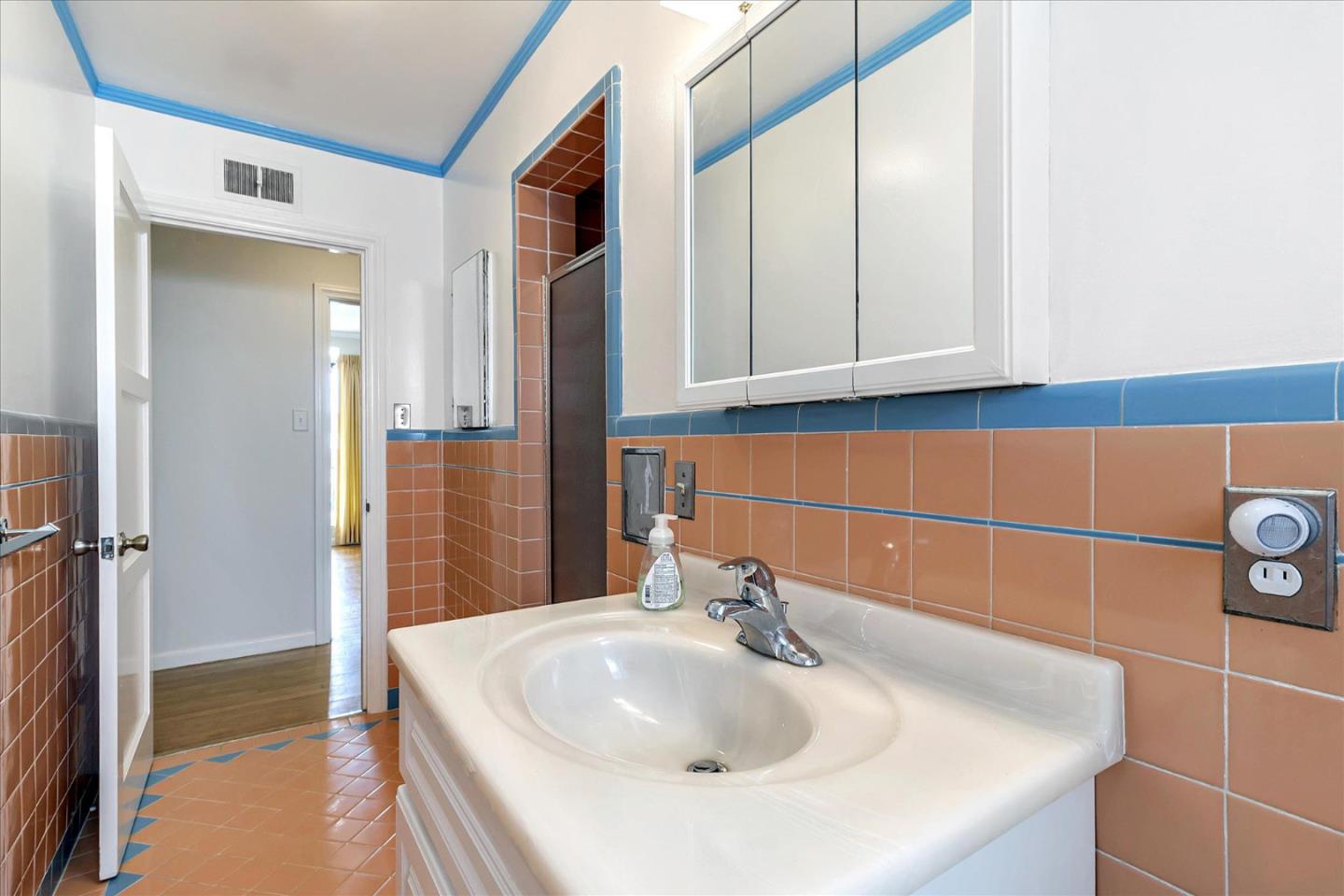 508 Park Boulevard Millbrae, CA 94030 - Photo 9 of 24 a bathroom with a sink and a mirror