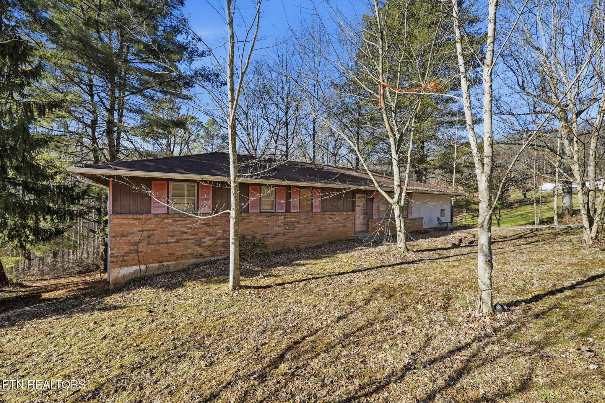 121 Eauclair Street Kingsport, TN 37664 - Photo 2 of 31 18-web-or-mls-003_JH 20260112-011