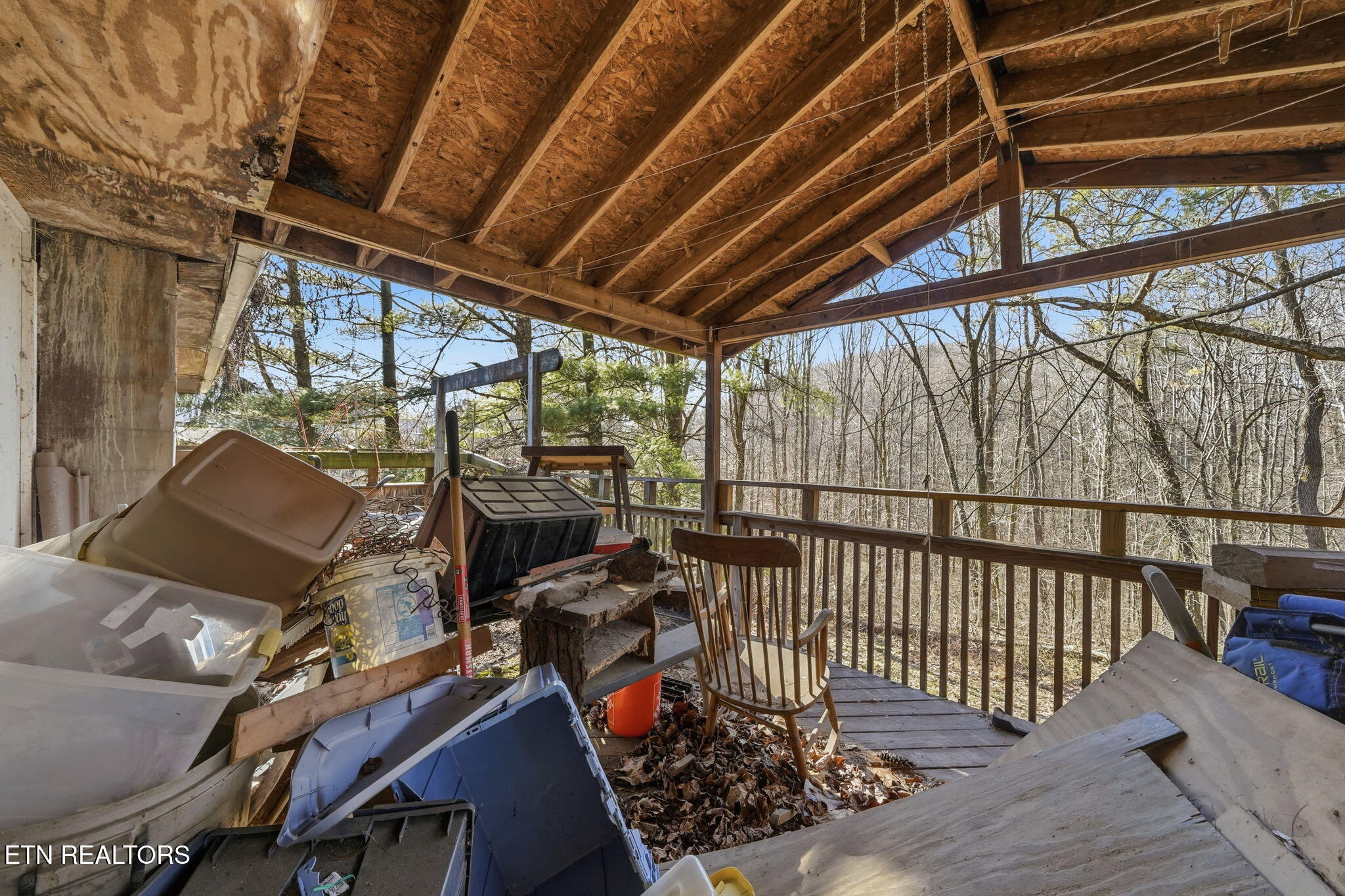 121 Eauclair Street Kingsport, TN 37664 - Photo 28 of 31 4-web-or-mls-033_JH 20260112-161