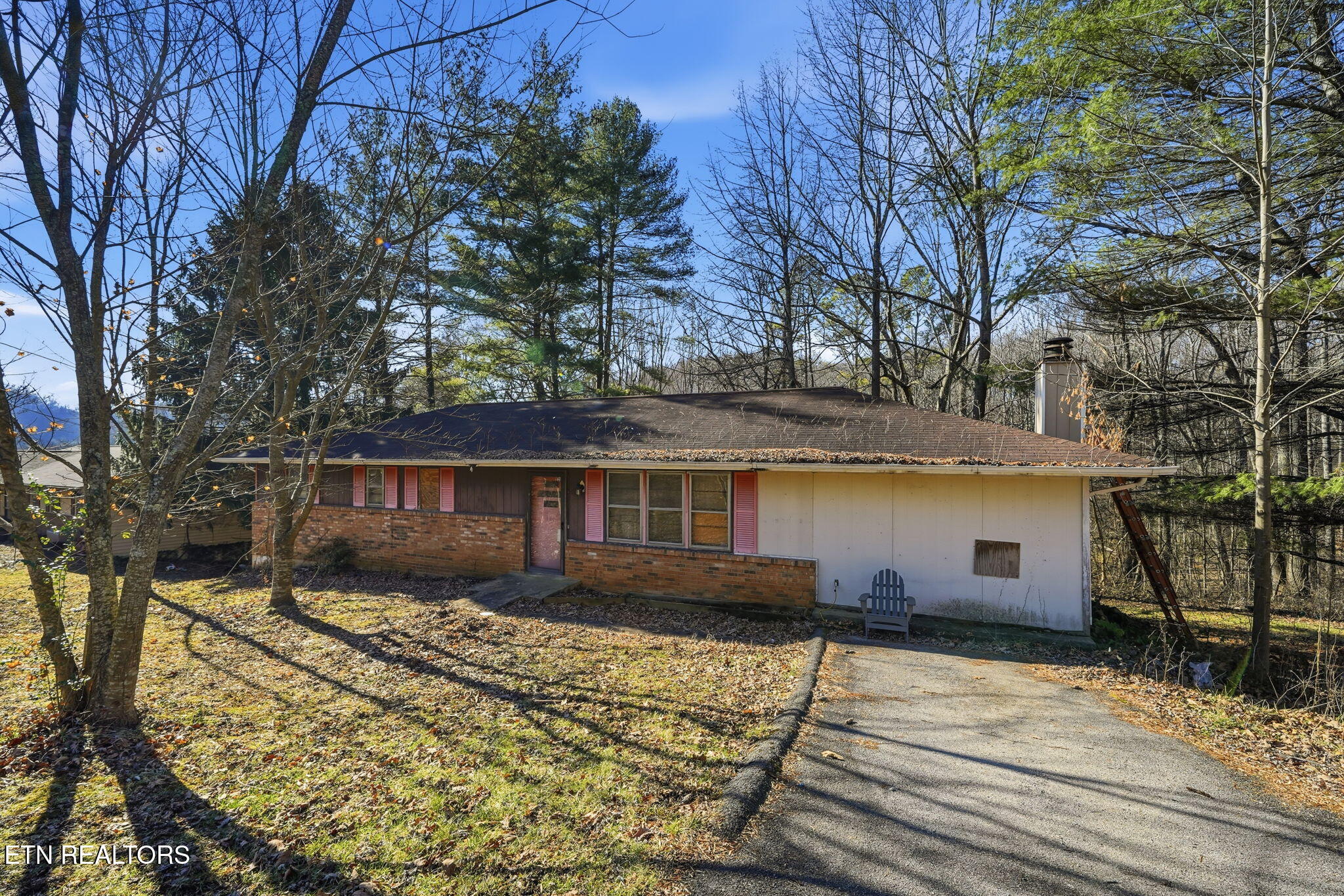 121 Eauclair Street Kingsport, TN 37664 - Photo 4 of 31 27-web-or-mls-002_JH 20260112-001