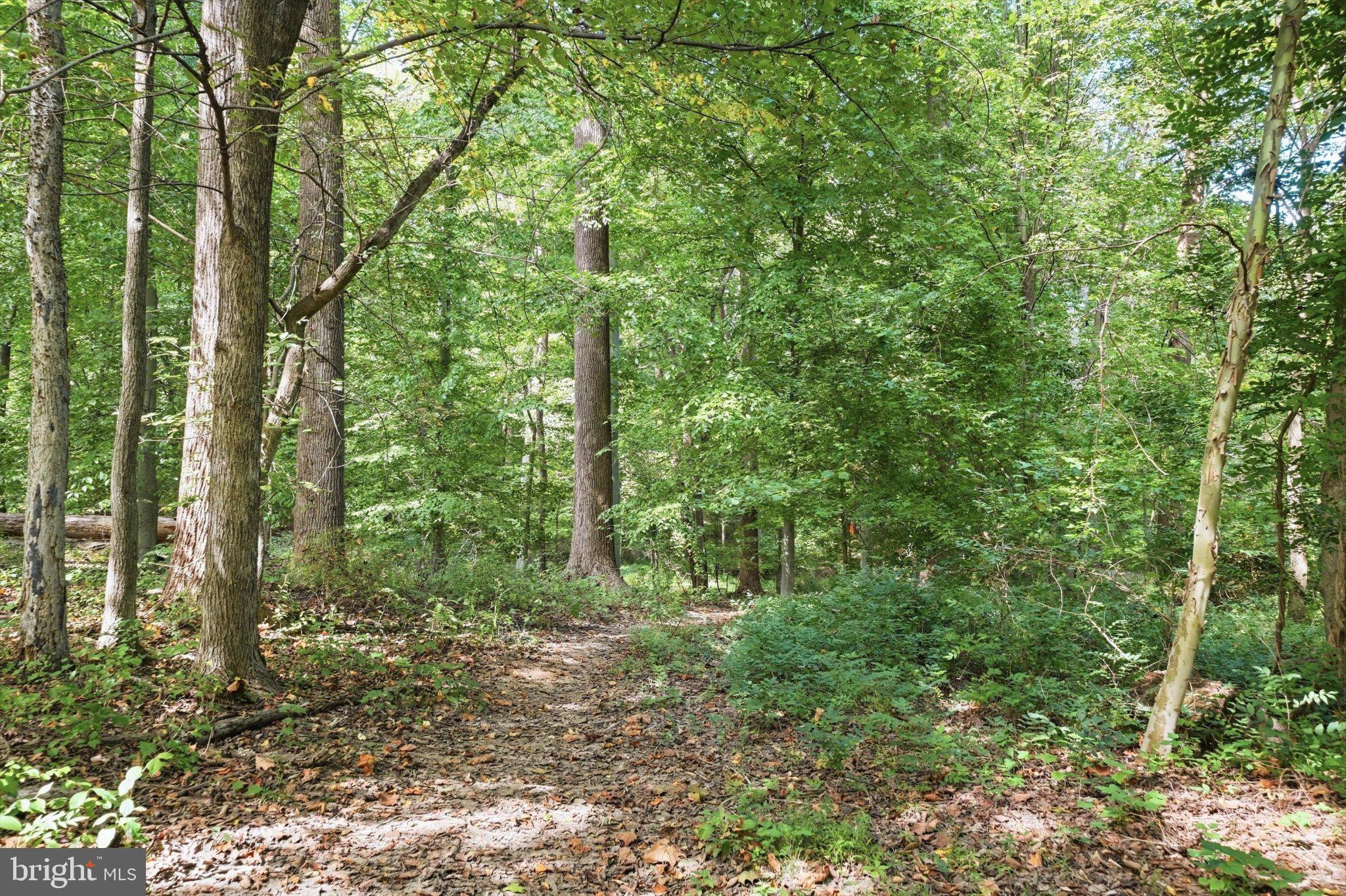 9397 Rock Ripple Lane Laurel, MD 20723 - Photo 53 of 53 Gallery Image 53