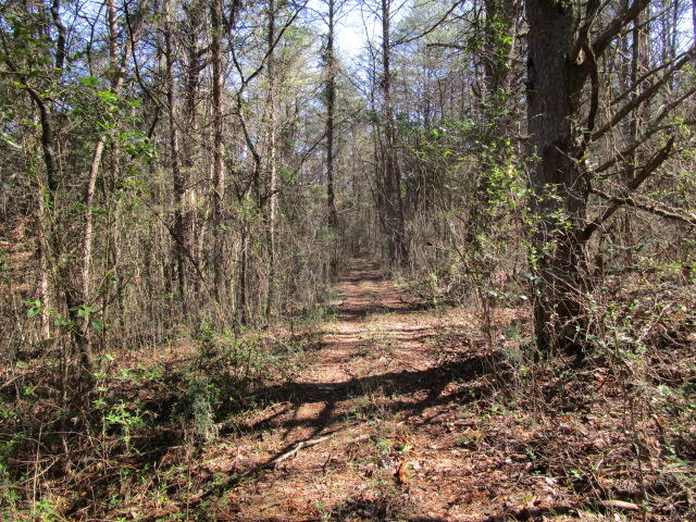 Joe Williams Road Rutledge, TN 37861 - Photo 3 of 16 IMG_0606