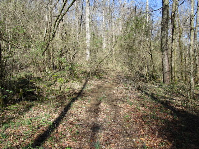 Joe Williams Road Rutledge, TN 37861 - Photo 8 of 16 IMG_0610
