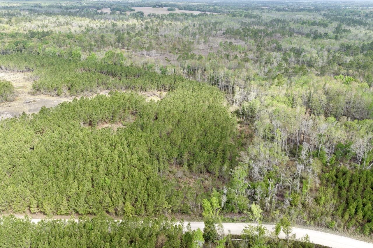 Vacant Southwest Vacant Sw Captain Brown Road Madison, FL 32340 - Photo 32 of 37