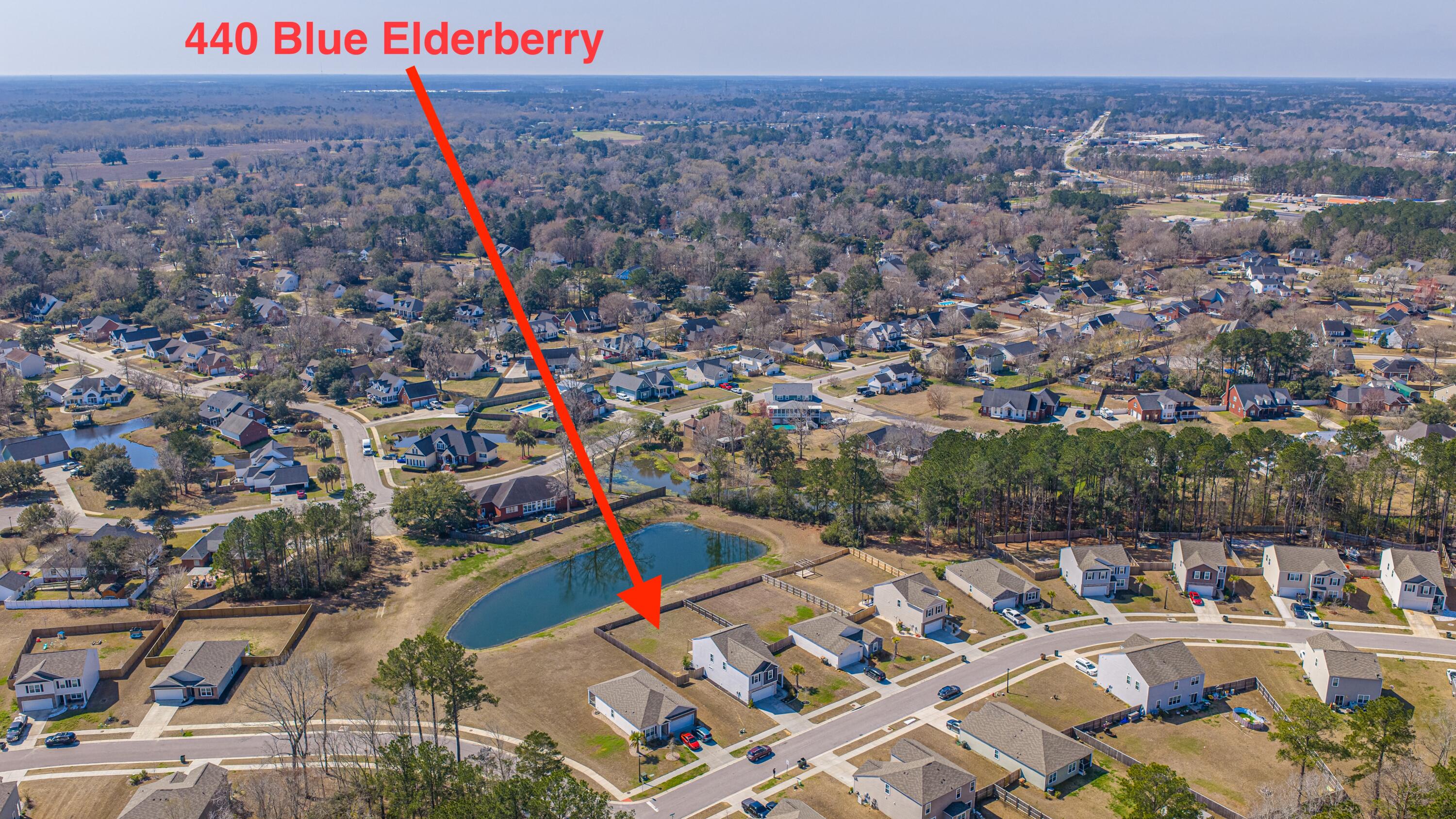 440 Blue Elderberry Run Moncks Corner, SC 29461 - Photo 66 of 77 440BlueElderberry066