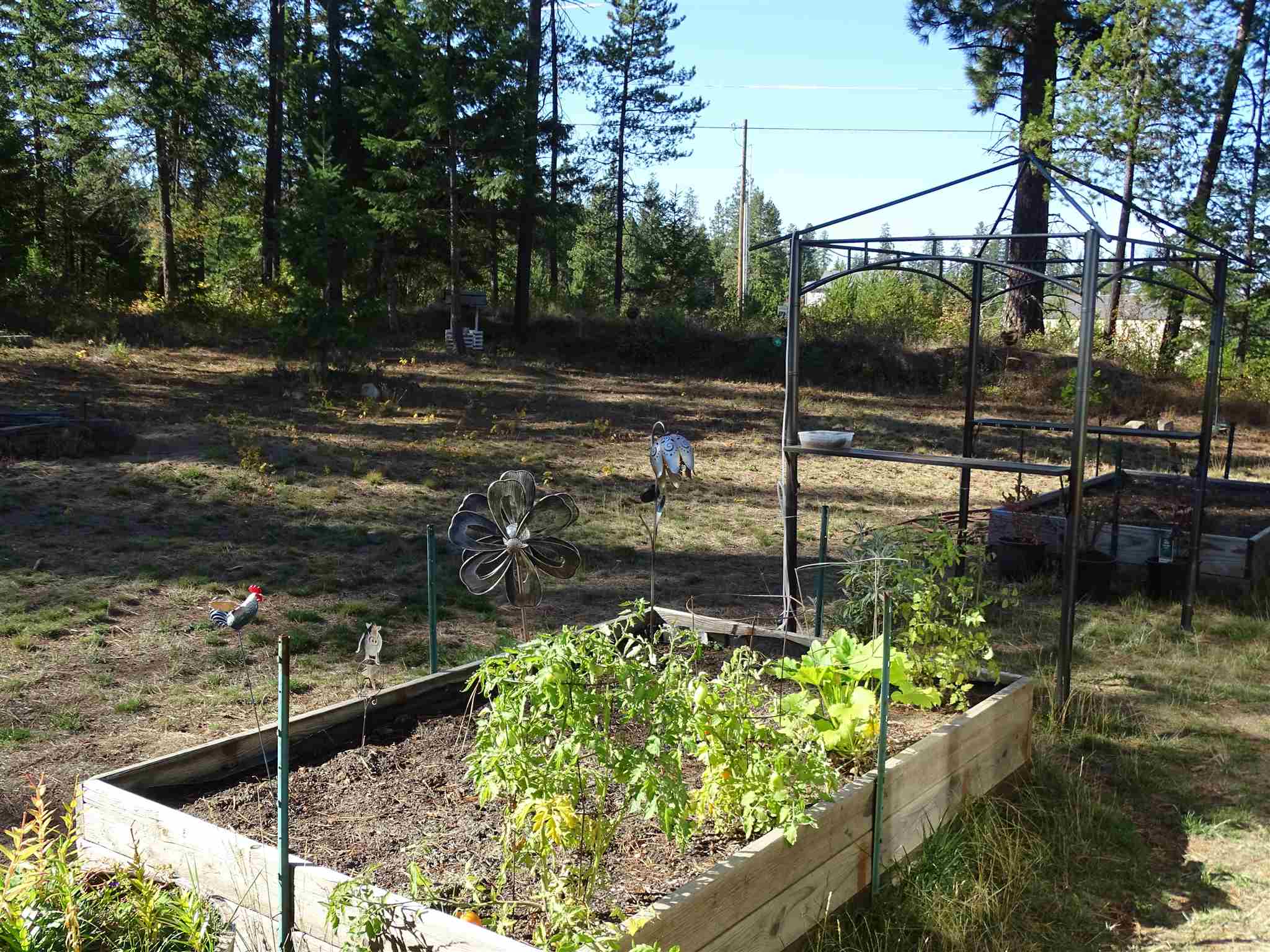 5202 Camden Road Newport, WA 99156 - Photo 19 of 28 Gallery Image 19