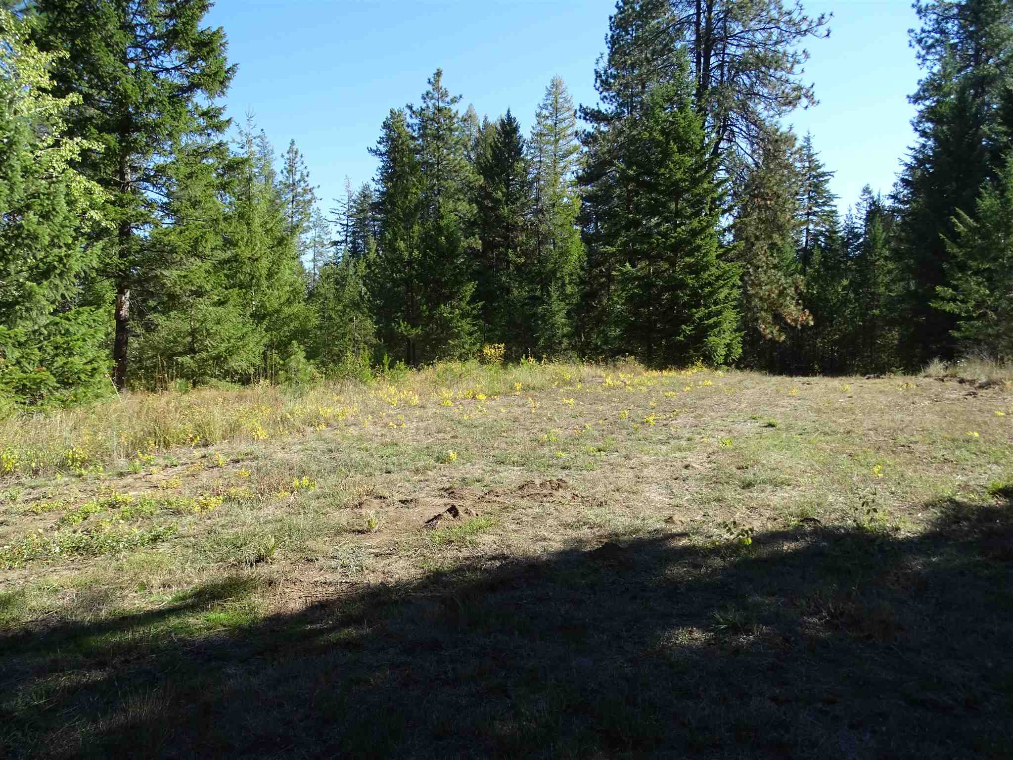 5202 Camden Road Newport, WA 99156 - Photo 23 of 28 Gallery Image 23