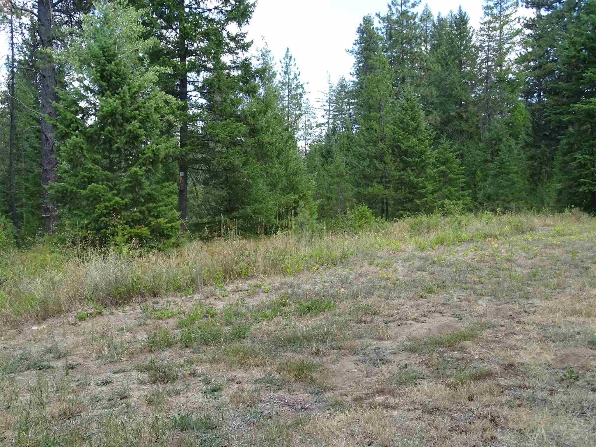 5202 Camden Road Newport, WA 99156 - Photo 26 of 28 Gallery Image 26
