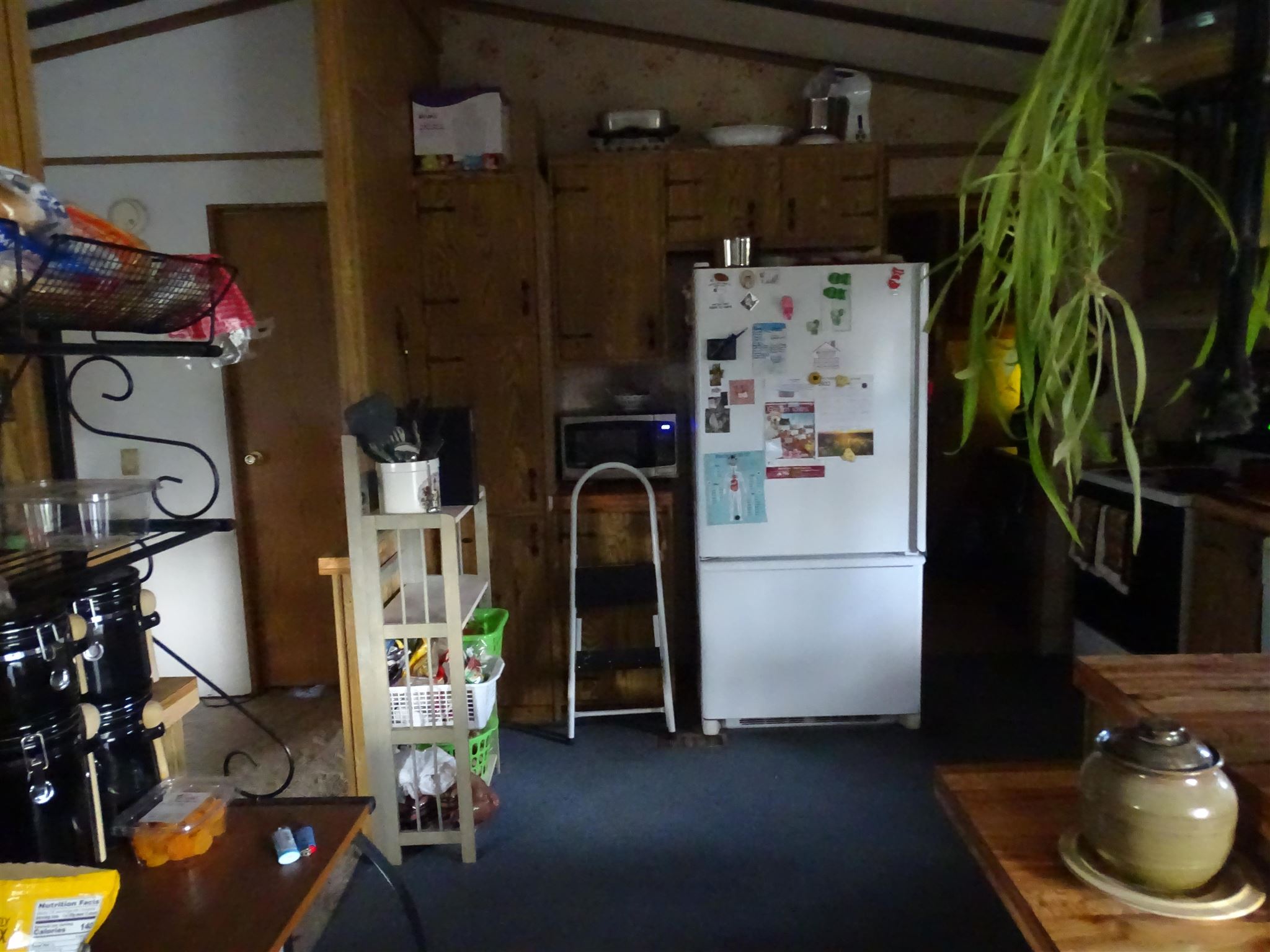 5202 Camden Road Newport, WA 99156 - Photo 10 of 28 Gallery Image 10