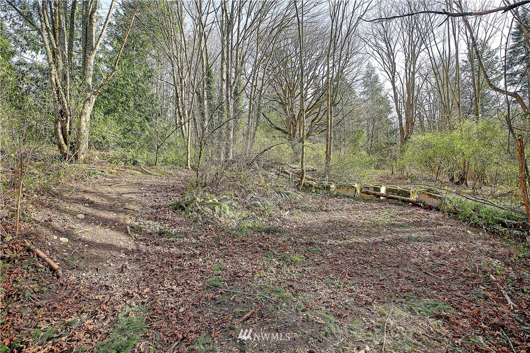 0 Rowe Road Camano Island, WA 98282 - Photo 11 of 33 Gallery Image 11