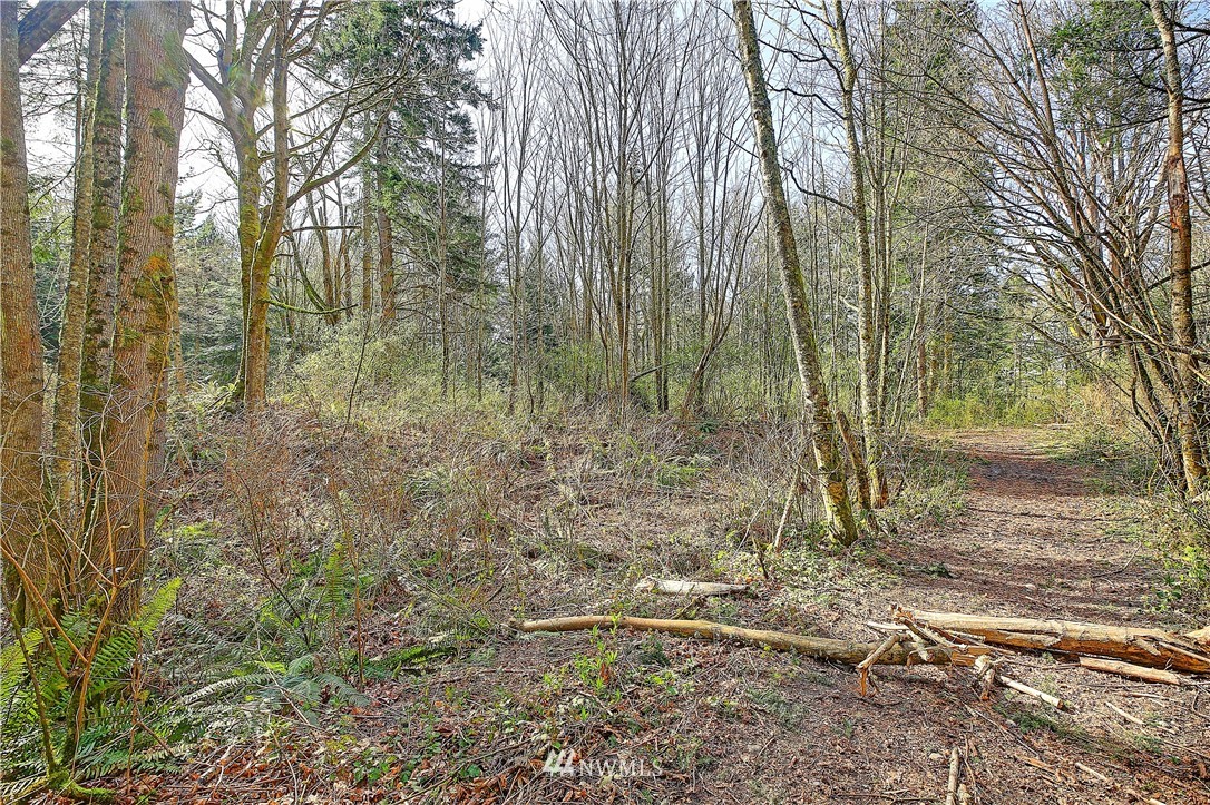0 Rowe Road Camano Island, WA 98282 - Photo 12 of 33 Gallery Image 12