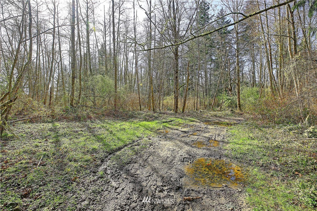 0 Rowe Road Camano Island, WA 98282 - Photo 13 of 33 Gallery Image 13