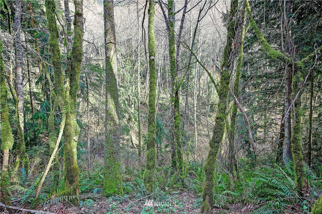 0 Rowe Road Camano Island, WA 98282 - Photo 15 of 33 Gallery Image 15