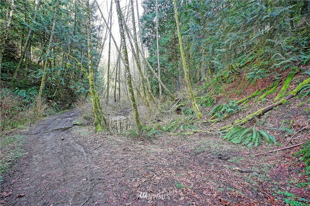 0 Rowe Road Camano Island, WA 98282 - Photo 18 of 33 Gallery Image 18