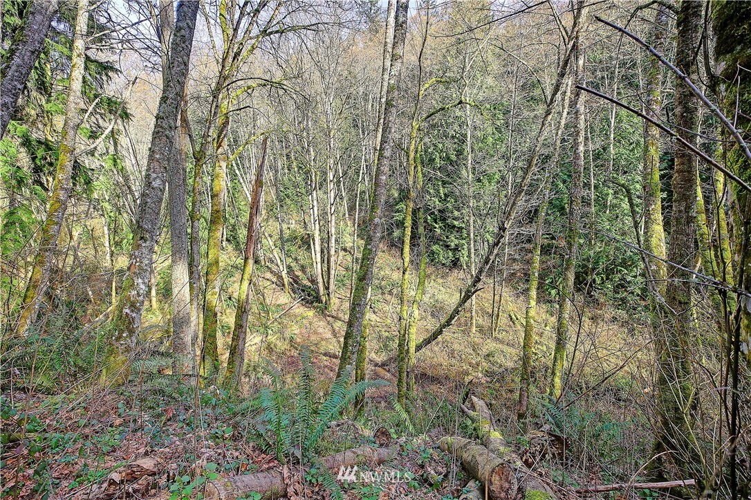 0 Rowe Road Camano Island, WA 98282 - Photo 20 of 33 Gallery Image 20