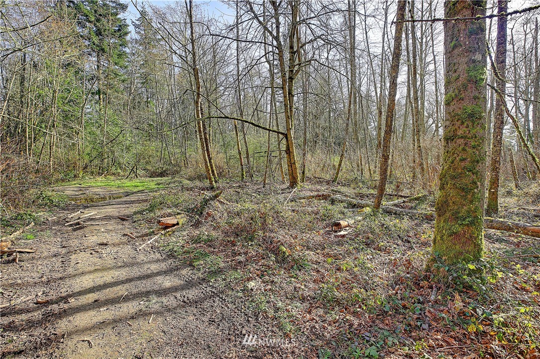 0 Rowe Road Camano Island, WA 98282 - Photo 21 of 33 Gallery Image 21