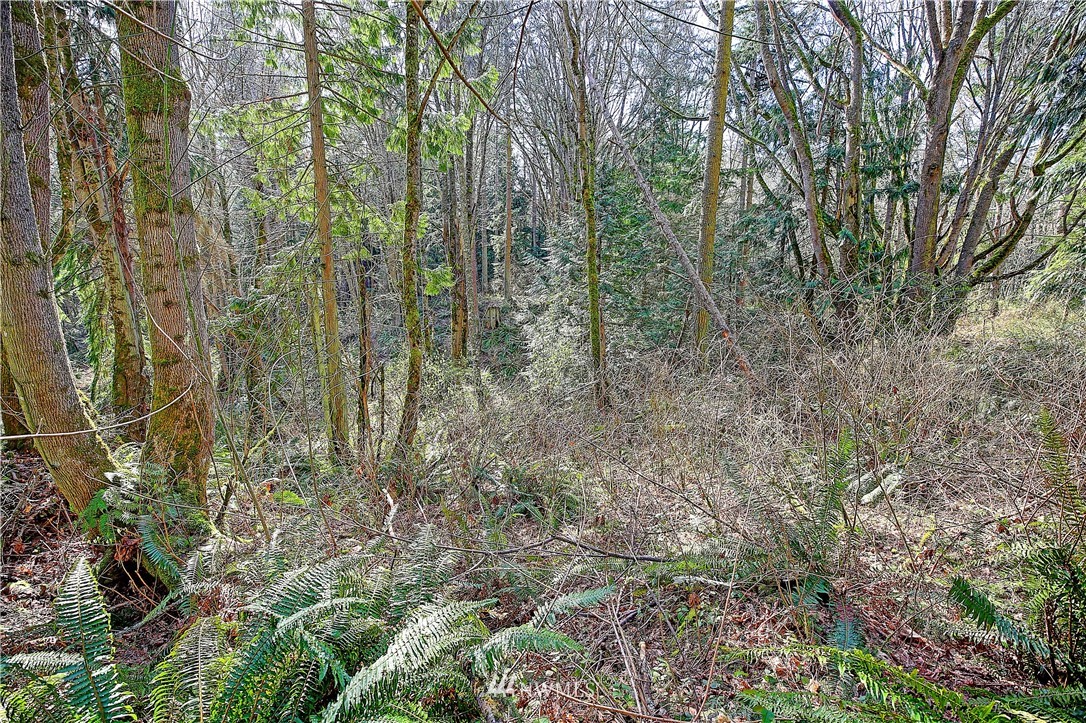 0 Rowe Road Camano Island, WA 98282 - Photo 22 of 33 Gallery Image 22