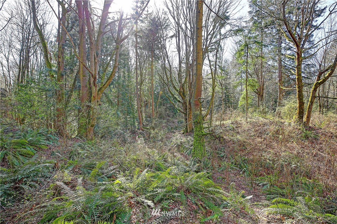 0 Rowe Road Camano Island, WA 98282 - Photo 23 of 33 Gallery Image 23