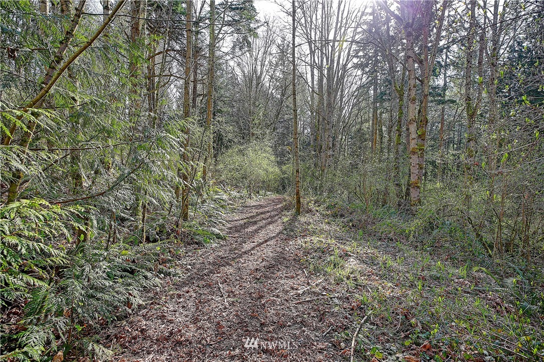 0 Rowe Road Camano Island, WA 98282 - Photo 8 of 33 Gallery Image 8