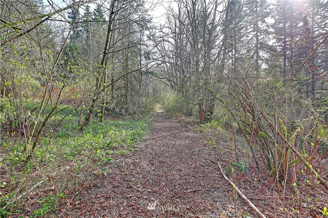 0 Rowe Road Camano Island, WA 98282 - Photo 9 of 33 Gallery Image 9