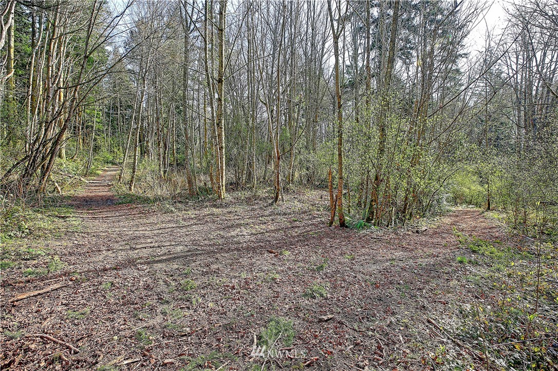 0 Rowe Road Camano Island, WA 98282 - Photo 10 of 33 Gallery Image 10
