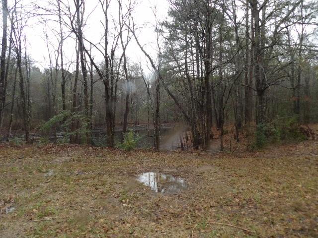 216 Johnson Lane Many, LA 71449 - Photo 19 of 22