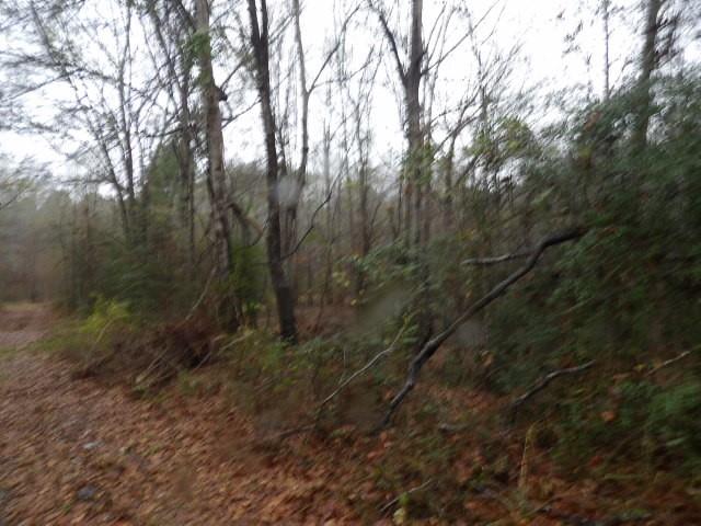 216 Johnson Lane Many, LA 71449 - Photo 22 of 22