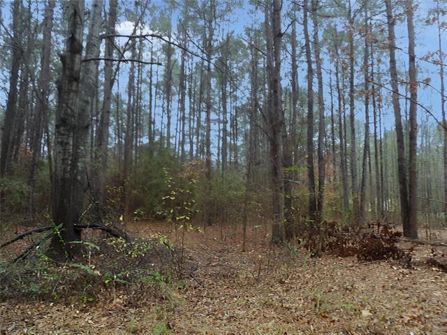 216 Johnson Lane Many, LA 71449 - Photo 8 of 22 Gallery Image 8