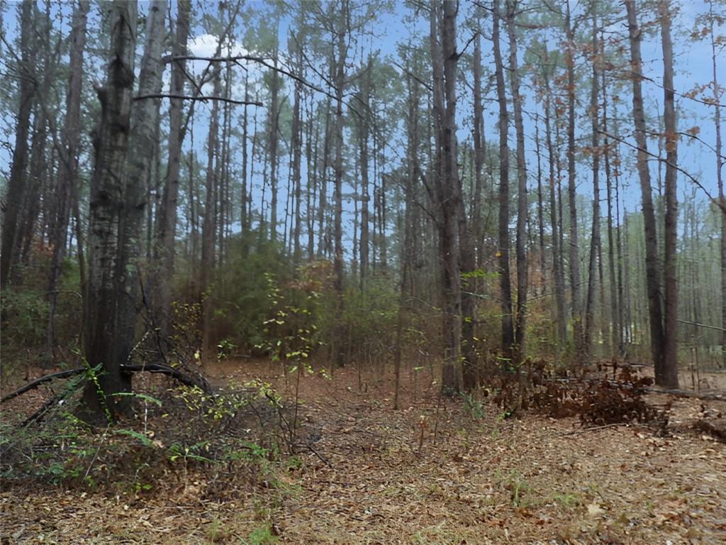 216 Johnson Lane Many, LA 71449 - Photo 8 of 22