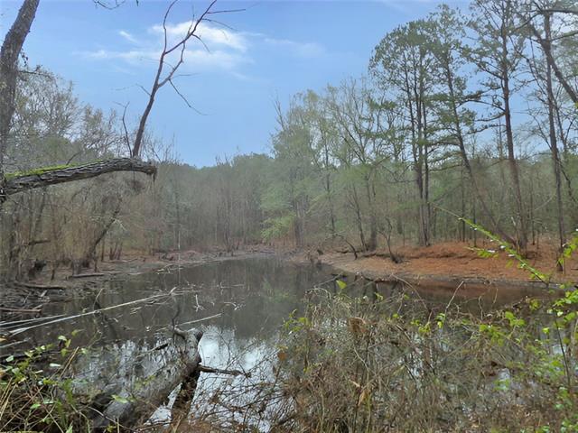 216 Johnson Lane Many, LA 71449 - Photo 9 of 22 Gallery Image 9