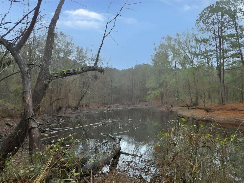 216 Johnson Lane Many, LA 71449 - Photo 10 of 22