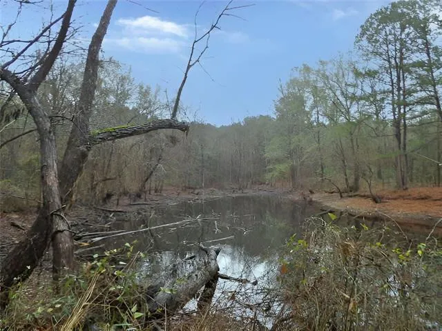 $199,900 | 216 Johnson Lane, Many, LA 71449