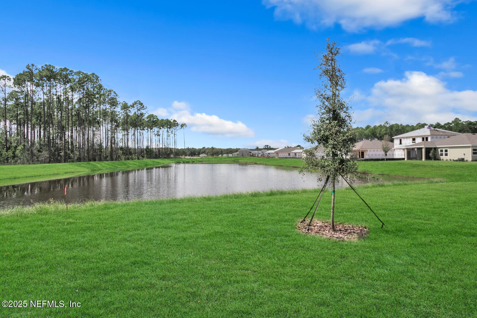 220 White Rabbit Street St. Augustine, FL 32092 - Photo 11 of 44 35805344_33_IMG_2122_(1)_mls