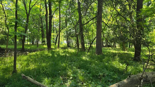 $304,900 | 2902 South 124th Street, West Allis, WI 53227