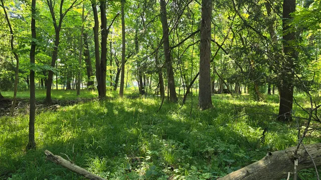 $304,900 | 2902 South 124th Street, West Allis, WI 53227