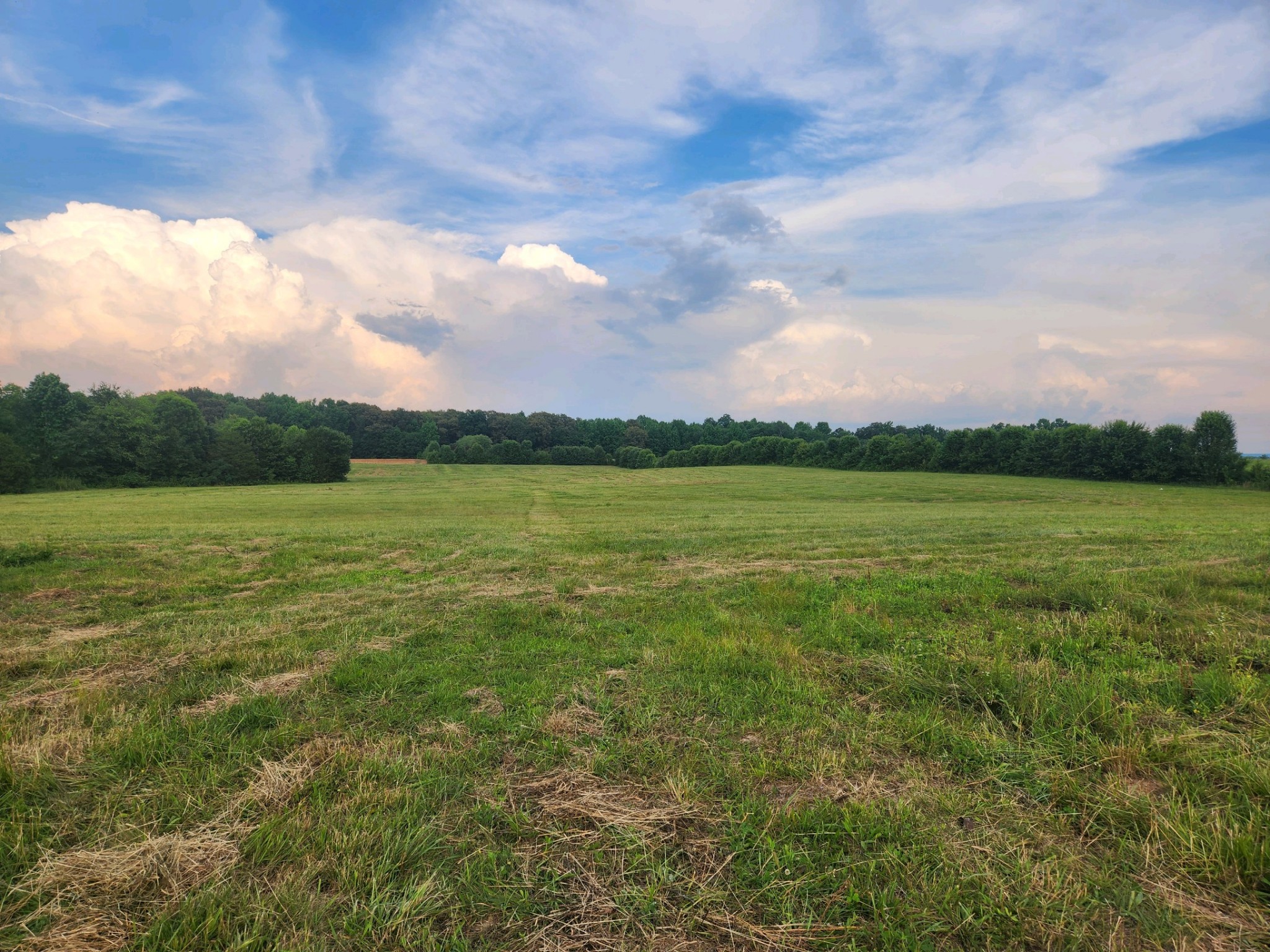 1056 Caney Branch Road Morrison, TN 37357 - Photo 11 of 12 a view of a lake with a big yard