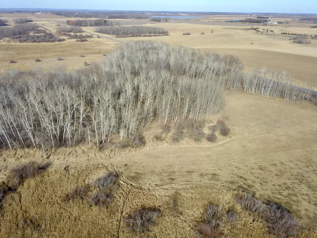 $245,000 | Xxx Dove Road, Little Falls, MN 56345