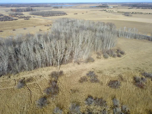 $245,000 | Xxx Dove Road, Little Falls, MN 56345