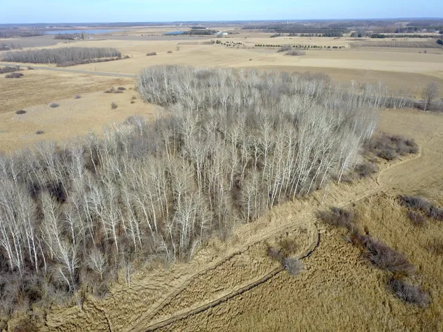 $245,000 | Xxx Dove Road, Little Falls, MN 56345