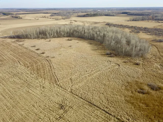 $245,000 | Xxx Dove Road, Little Falls, MN 56345