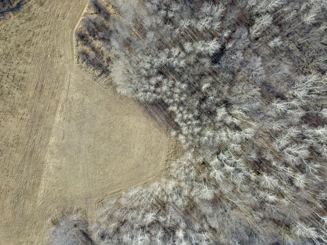 $245,000 | Xxx Dove Road, Little Falls, MN 56345