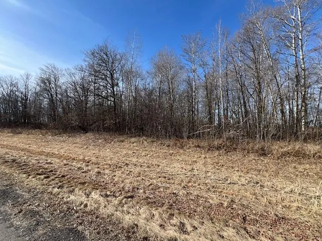 $245,000 | Xxx Dove Road, Little Falls, MN 56345