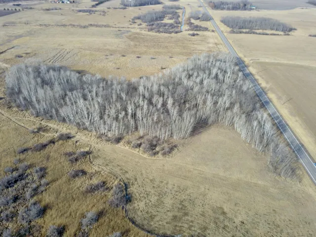 $245,000 | Xxx Dove Road, Little Falls, MN 56345