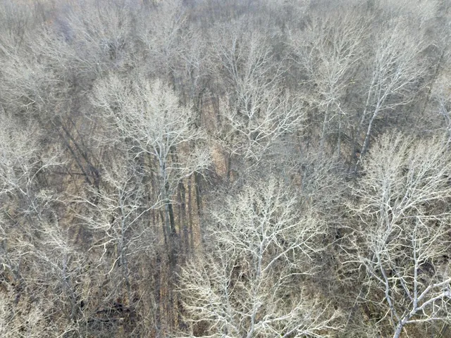 $245,000 | Xxx Dove Road, Little Falls, MN 56345